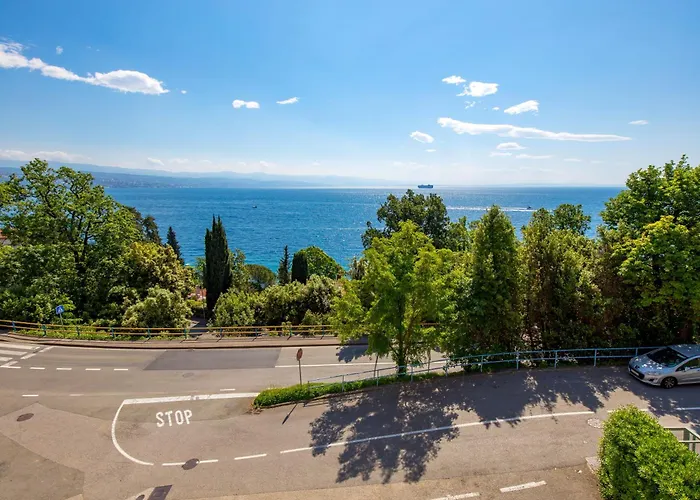 Deluxe Ana 100 M From The *