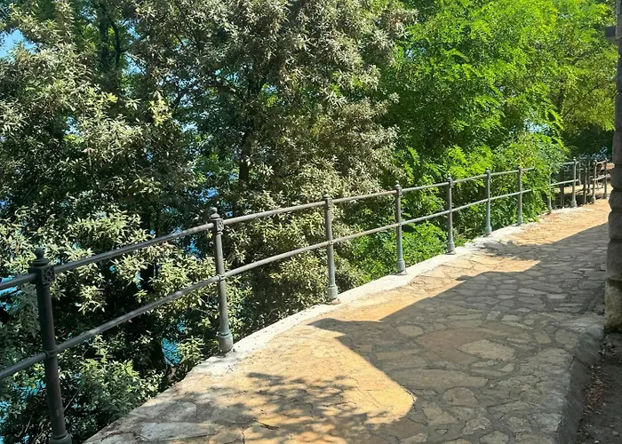 Deluxe Ana 100 M From The